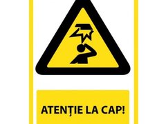 Indicator pentru cap